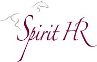 Spirit HR 678747 Image 0
